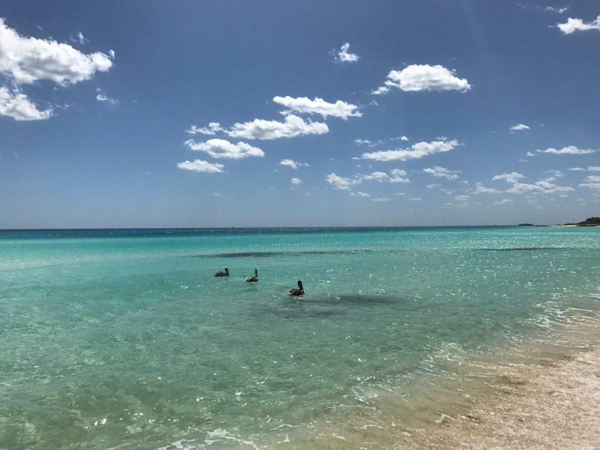Villa Ikal Playa del Carmen Exterior foto